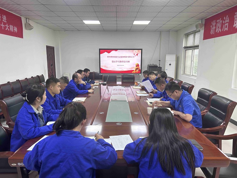 賽柯瑞思公司:“三個緊扣” 推動黨紀學習教育走深走實